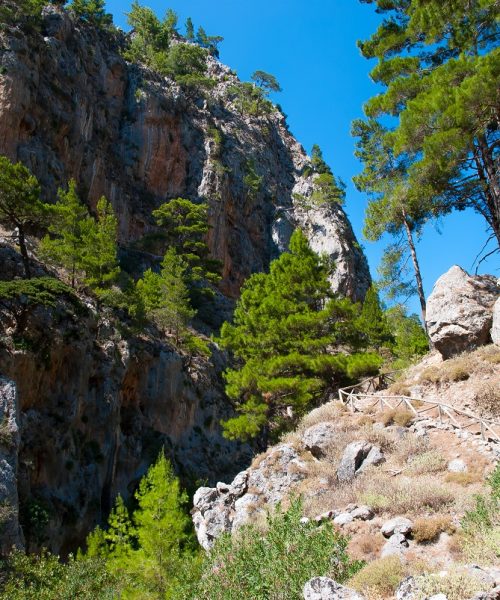 Agia Irini Gorge on Crete Greece - cliffs and forest